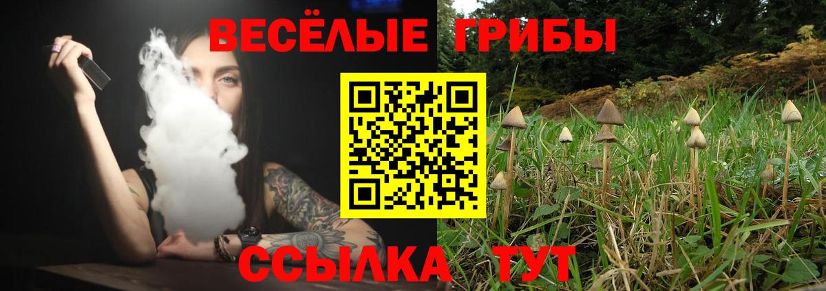 Галлюциногенные грибы Magic Shrooms Бугуруслан